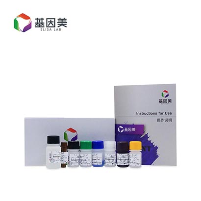 Mouse Tumor Necrosis Factor α (TNF-α) ELISA Kit