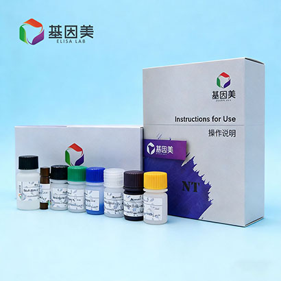 小鼠趋化因子配体13(CXCL13)ELISA Kit